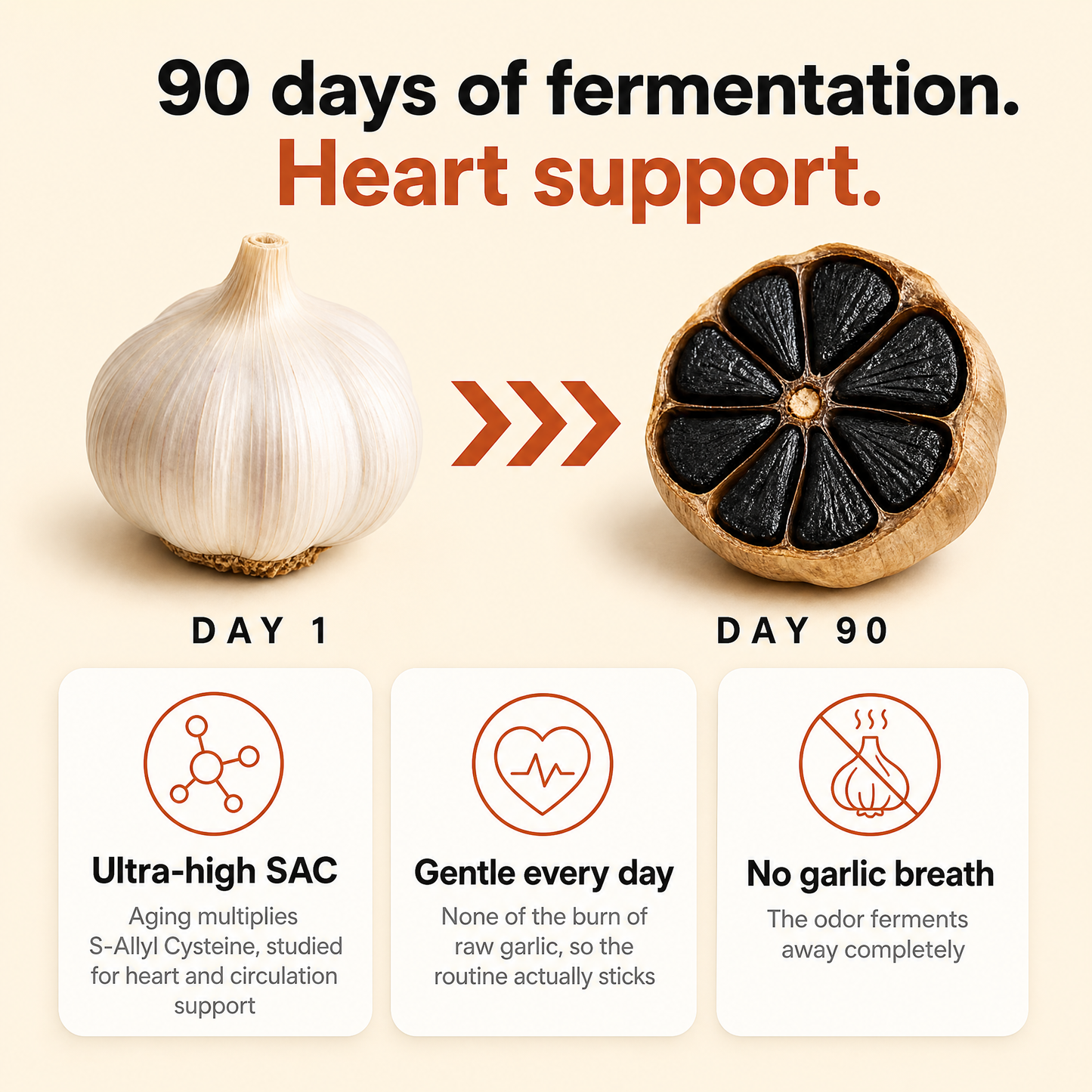 Gutessa® Fermented Black Garlic Extract