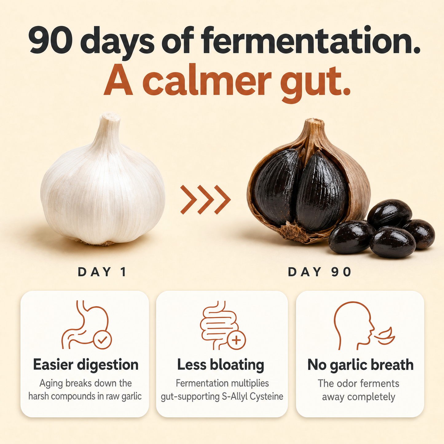 Gutessa® Fermented Black Garlic Extract
