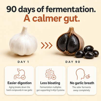 Gutessa® Fermented Black Garlic Extract