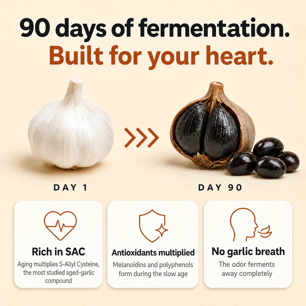 Day 1 white garlic transforming into day 90 black garlic, and the heart support it unlocks
